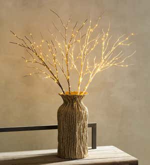 Indoor/Outdoor Lighted Birch Branches, Set of 2 - White