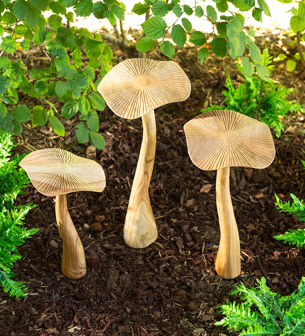 Habini Teak Wild Mushrooms