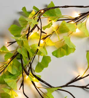 Viva Terra Indoor/Outdoor Battery-Operated Lighted Olive Branch Garland w  Timer