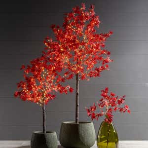 Indoor/Outdoor Electric Lighted Japanese Maple Trees