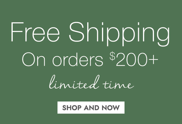 FREE SHIPPING On orders $200+ limited time SHOP AND SAVE