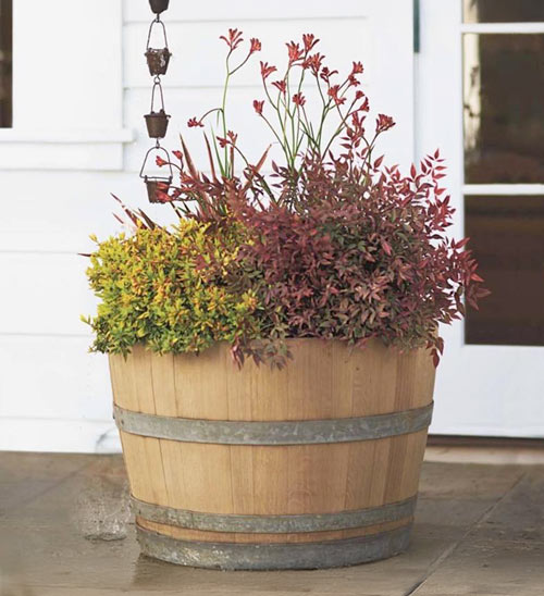 water barrels planter