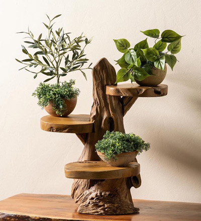 Image of Teak Wood Plant Stand