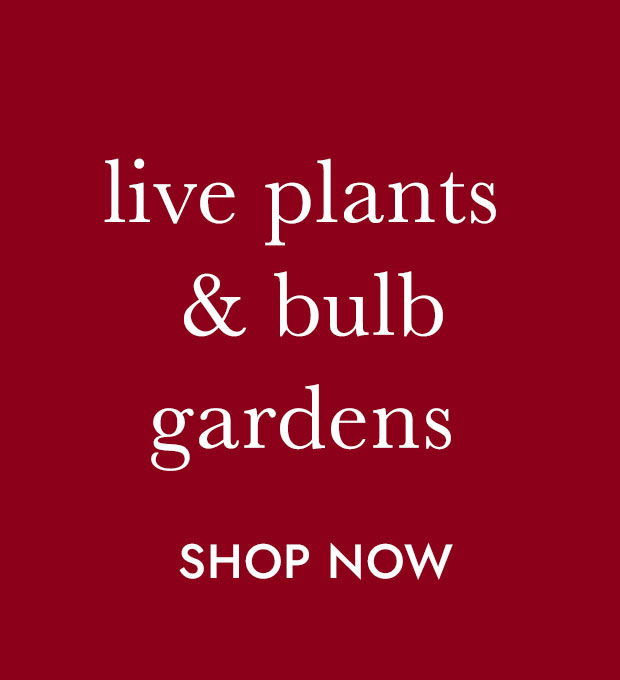 live bulb gardens