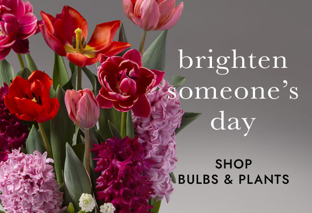 Valentine's metal art-love