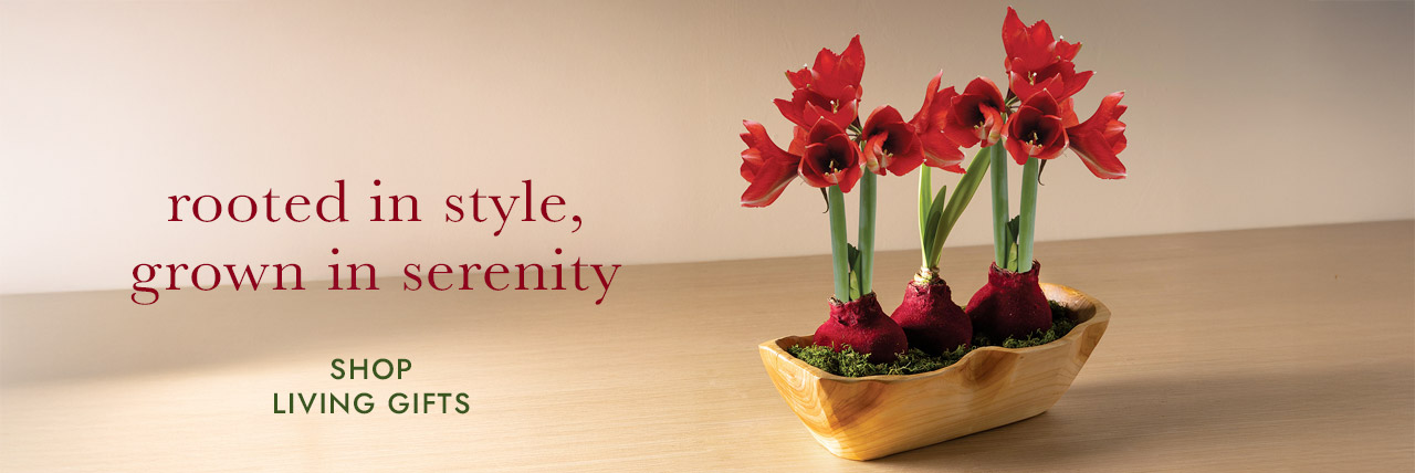 rooted in style, grown in serenity SHOP LIVING GIFTS