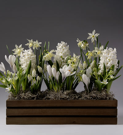 image of All White Garden Trug