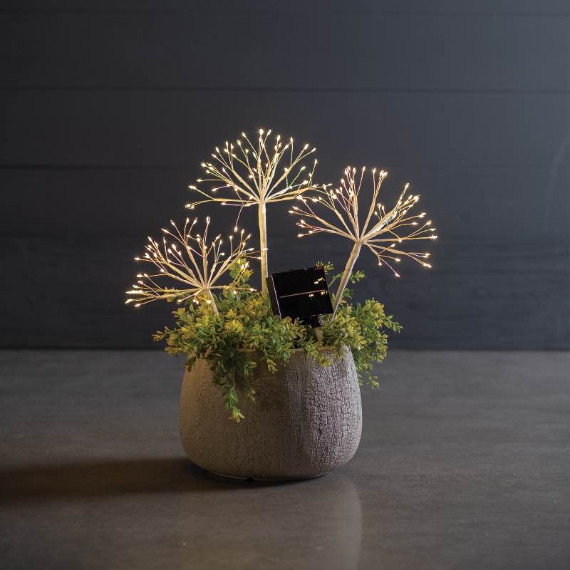 Solar Polestar Stake Light