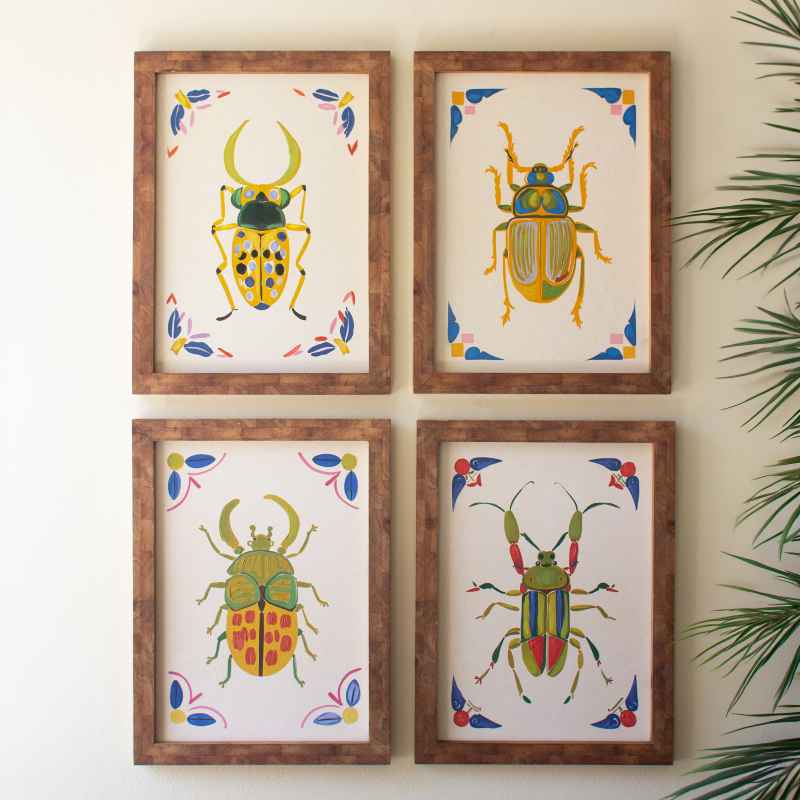 Set of 4 Framed Beetles Paintings