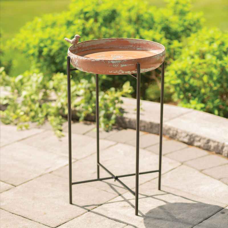 Iron Birdbath Tub on Stand