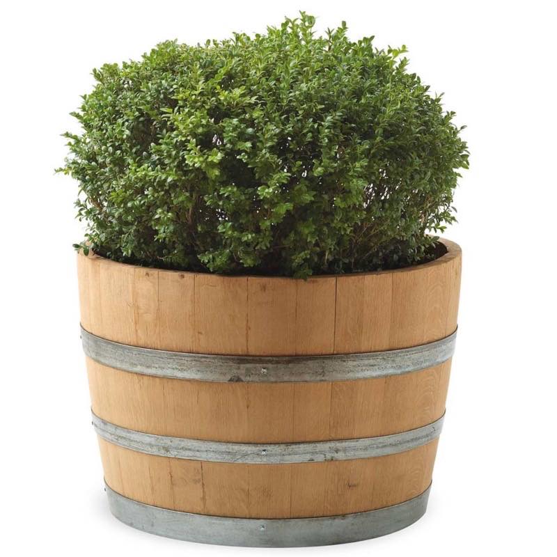 Wine Barrel Planter