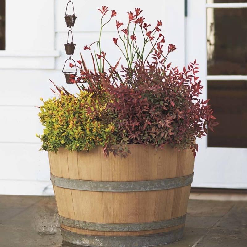 Wine Barrel Planter