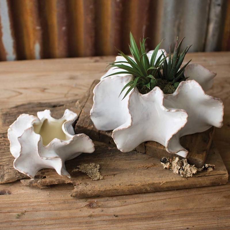 Organic Ceramic Planters Set of 2