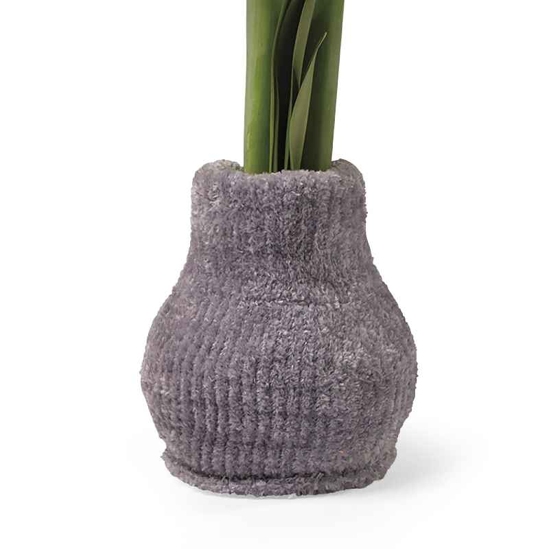 Cozy Sweater Amaryllis Wax Bulb