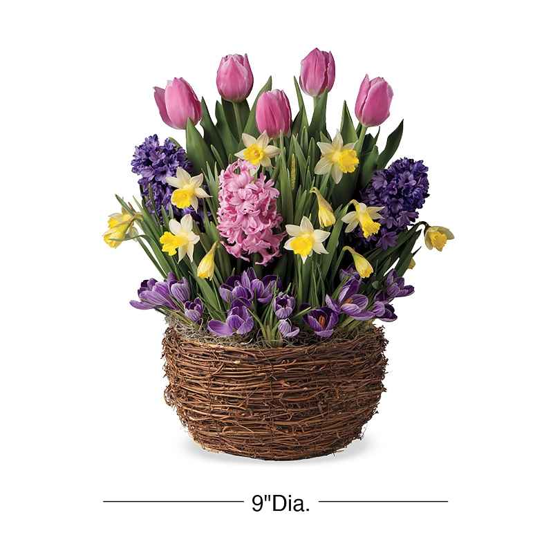 Spring Bulb Garden in Seagrass Basket