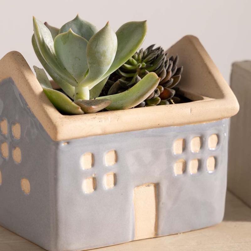 House Planters with Live Succulents, Set of 3