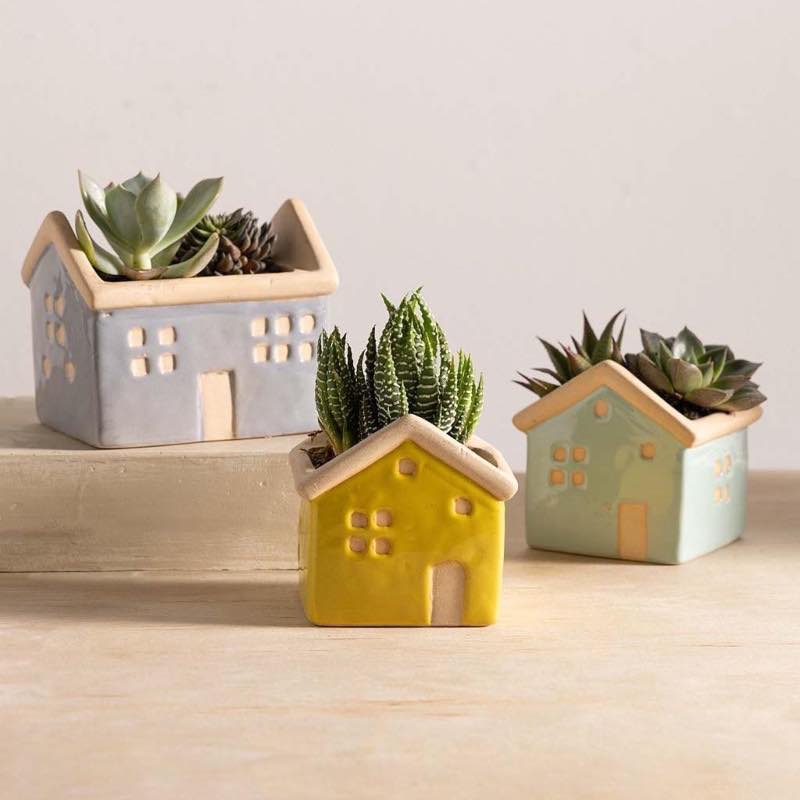 House Planters with Live Succulents, Set of 3