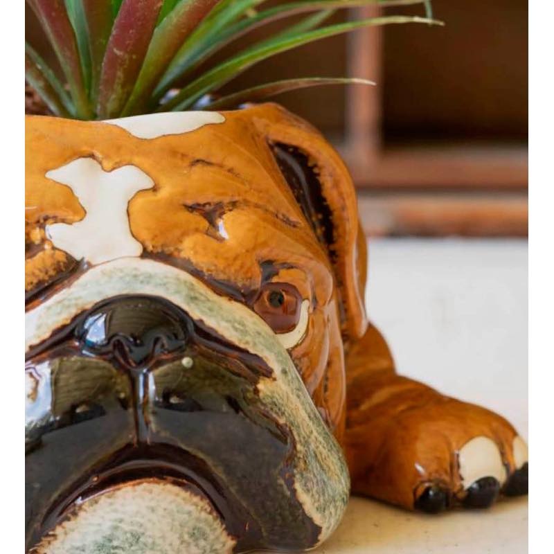 Ceramic Bulldog Planter