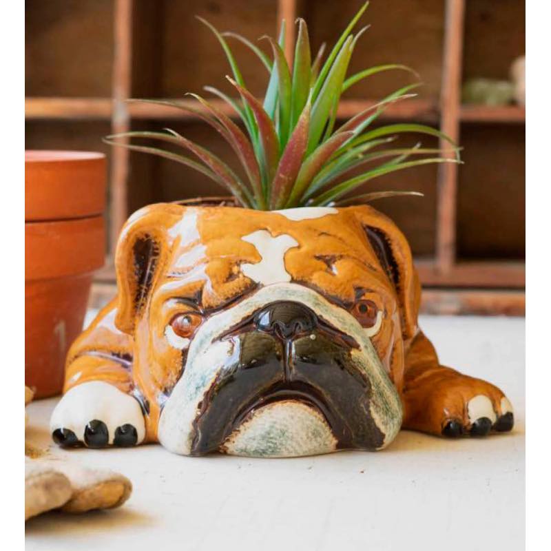 Ceramic Bulldog Planter