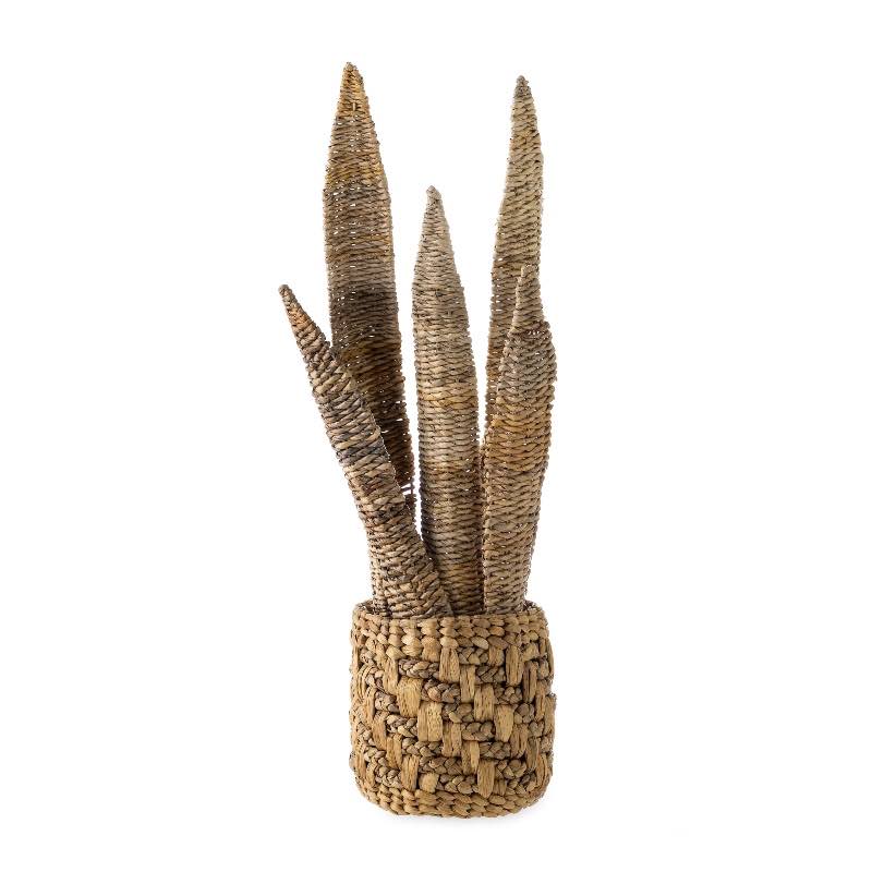 Natural Woven Banana Bark Snake Plant