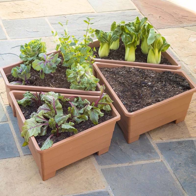 Raised Garden Beds, Set of 4