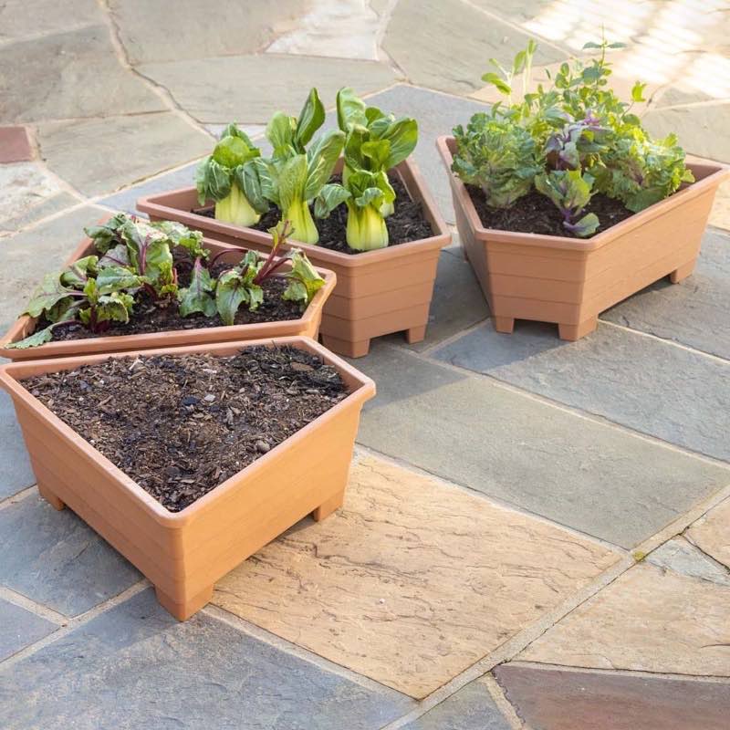 Raised Garden Beds, Set of 4