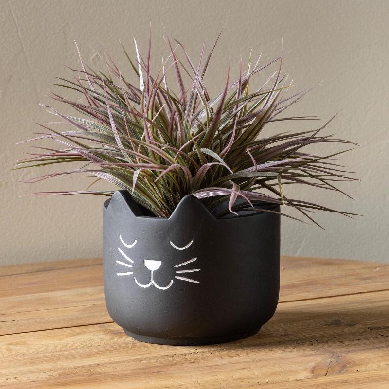 Black Cat Cement Planter