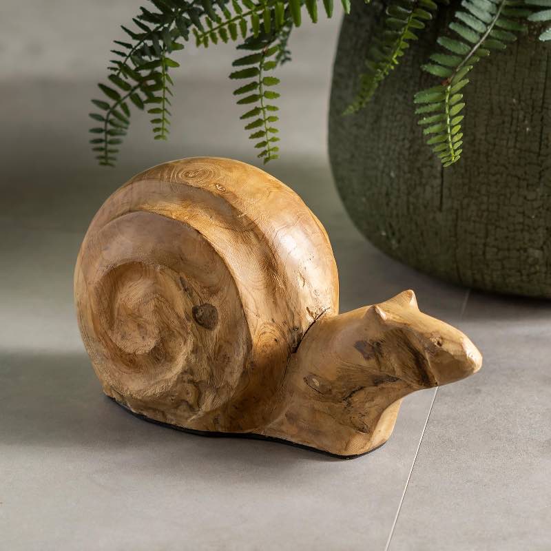 Reclaimed Teak Root Snail