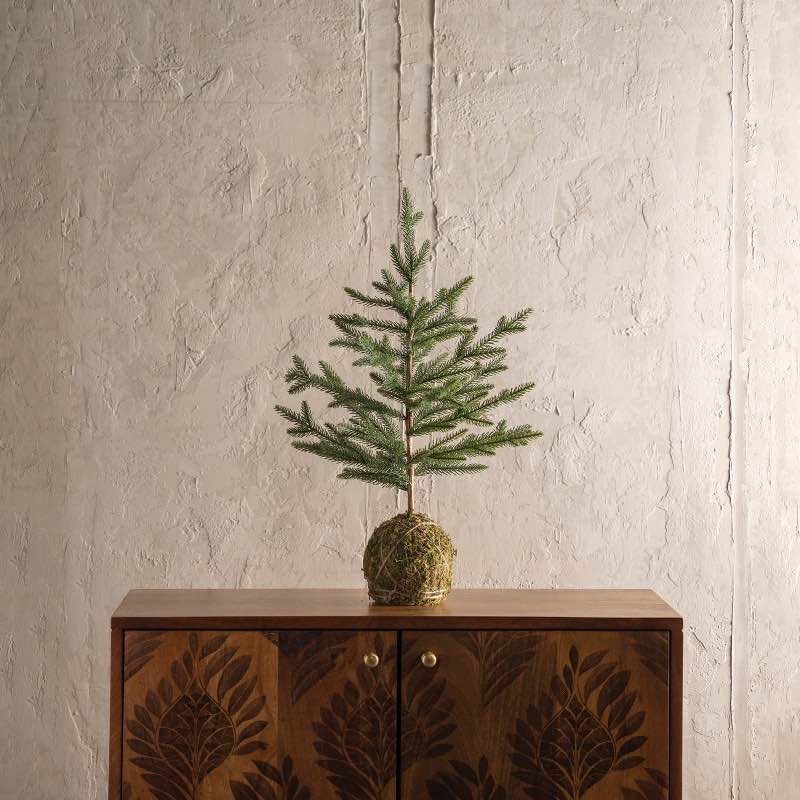 Tabletop Tree with Weighted Moss Ball Base, 23