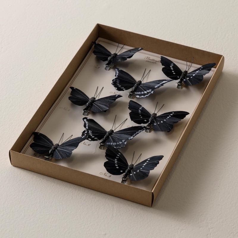 Black Feather Butterflies, Set of 8