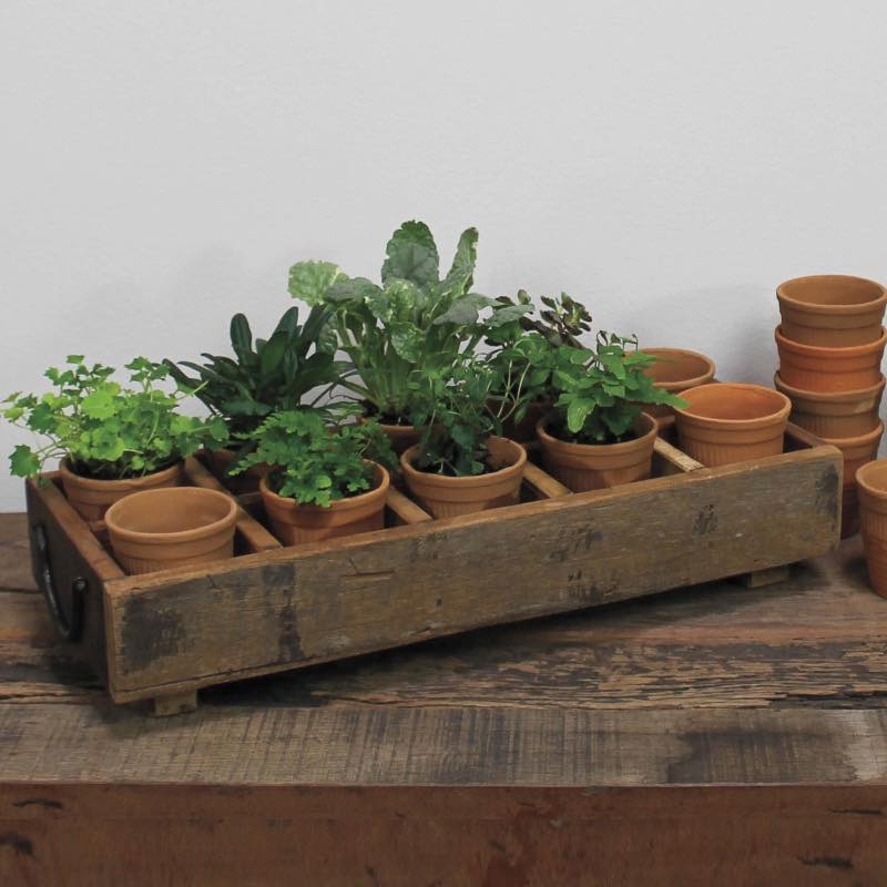 Rustic Wood Caddy with 10 Cups