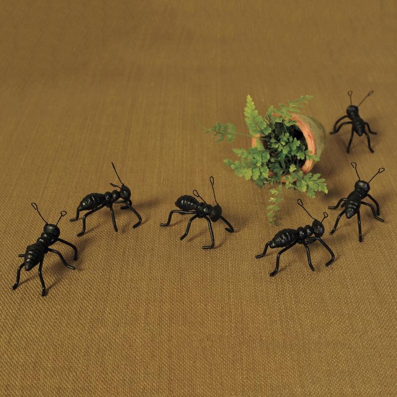 Ant Pot/ Wall Climbers, Set of 3