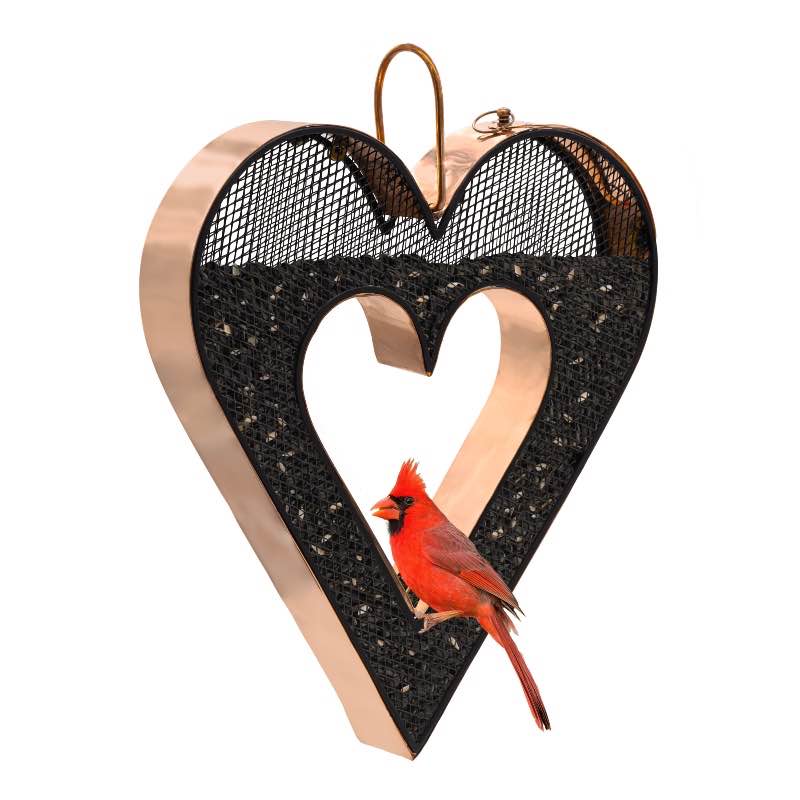 Be Still My Heart Fly Thru Heart-Shaped Copper Bird Feeder with Mesh Panels