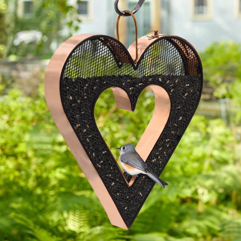 Be Still My Heart Fly Thru Heart-Shaped Copper Bird Feeder with Mesh Panels