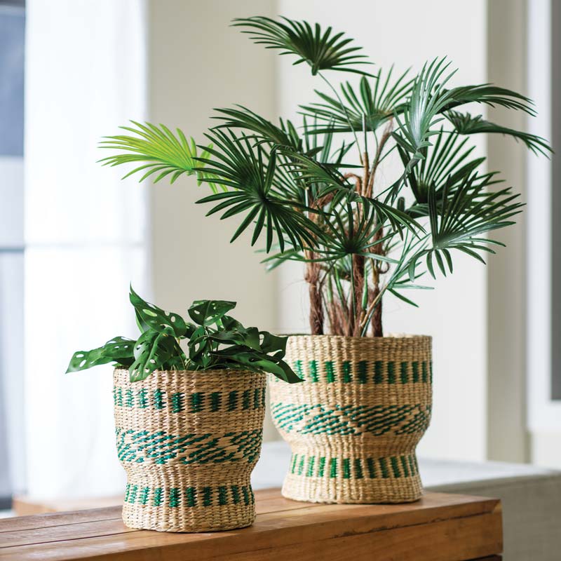 Green and Natural Seagrass Baskets (set of 2)