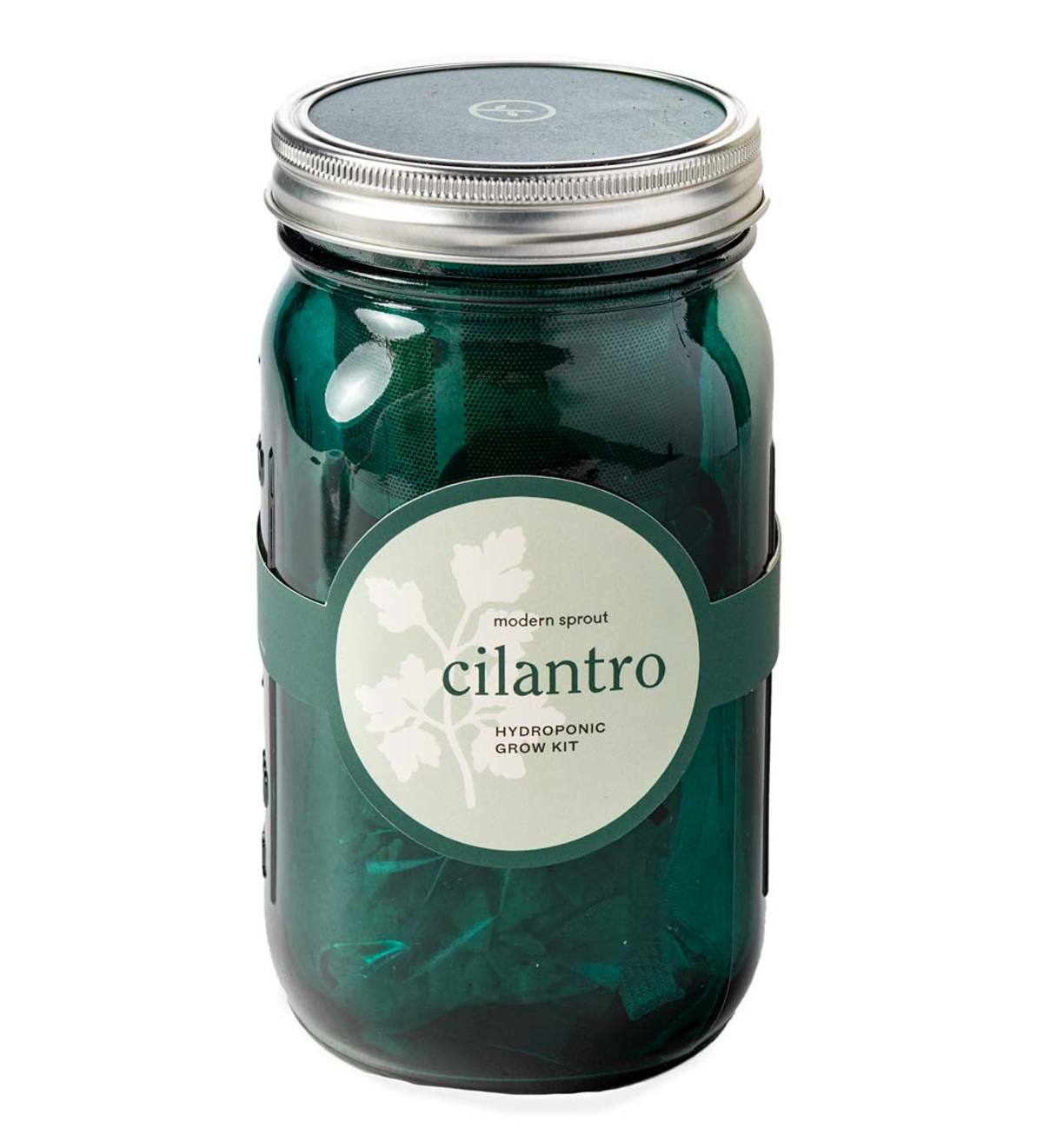 Herb Jar Growing Kits - Basil | VivaTerra
